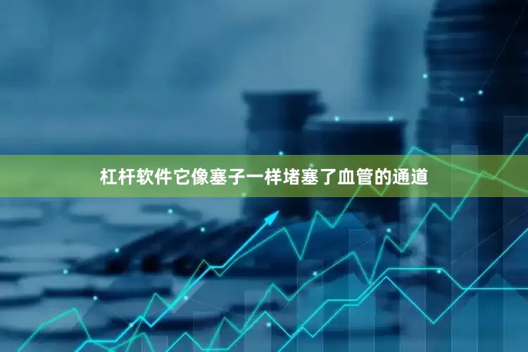 杠杆软件它像塞子一样堵塞了血管的通道