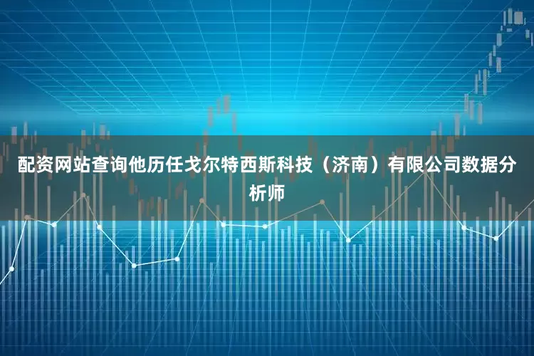 配资网站查询他历任戈尔特西斯科技（济南）有限公司数据分析师